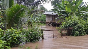 ^D27267698B3BB591D84188695C0D310279A78EA76D27AD11B9^pimgpsh_fullsize_distr